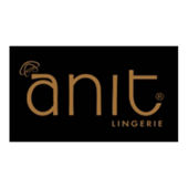 Anit / آنیت